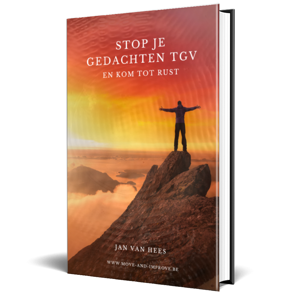 e-book stop je gedachten TGV en kom tot rust